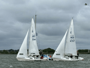 sprintwedstrijden